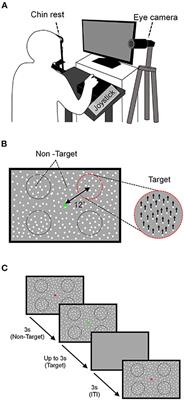 Daily fluctuations in visual motion discriminability contribute to daily fluctuations in continuous visuomotor performance